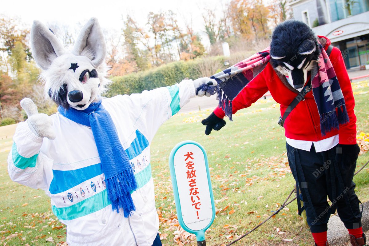 ゆきんこ🍕 (@yukinkoacf) / Posts / X