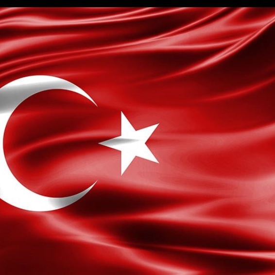 "Bayraksızlar bayraksızlar.
Yere düşse bayrak sızlar.
Nerden bilsin kıymetini,
Soysuz sopsuz bayraksızlar."