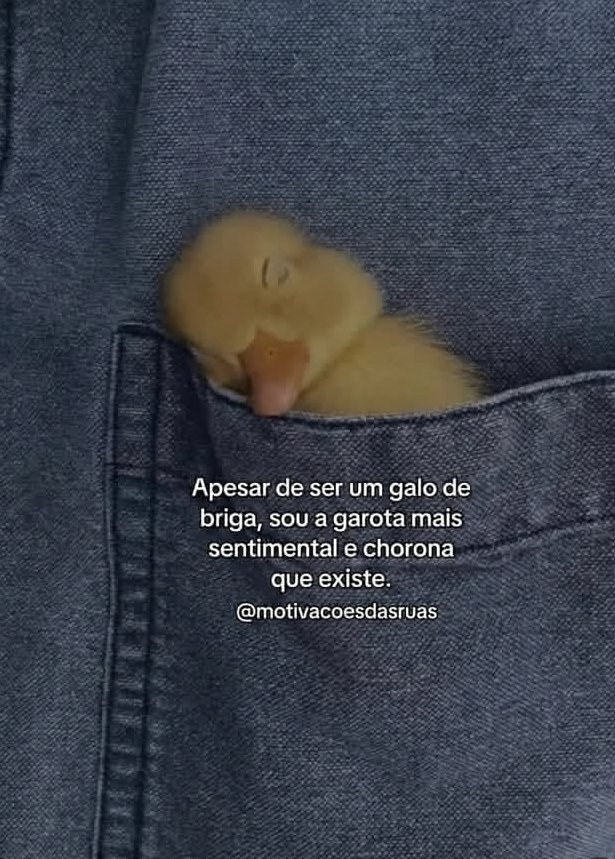 teu caos (@sobreteucaos) on Twitter photo 