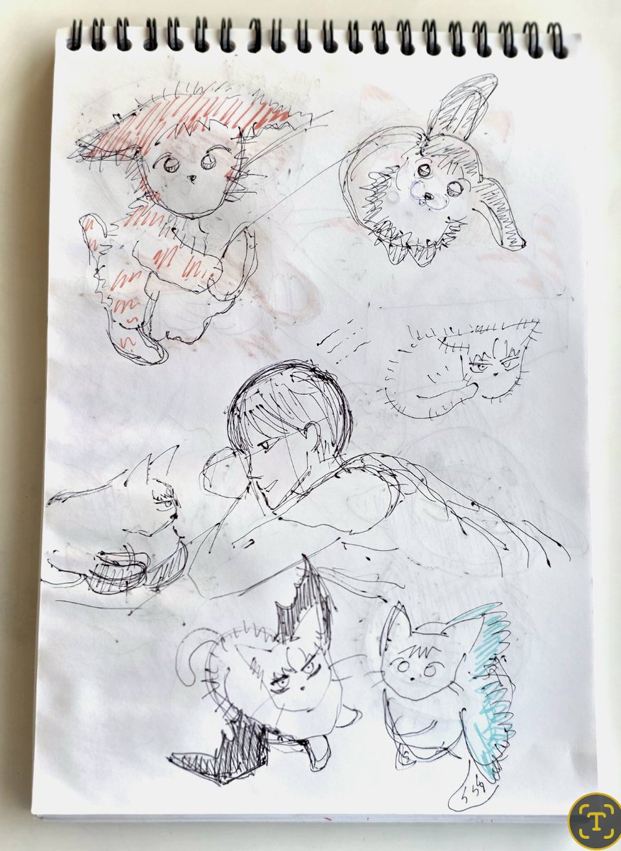 danbbang4's tweet image. 