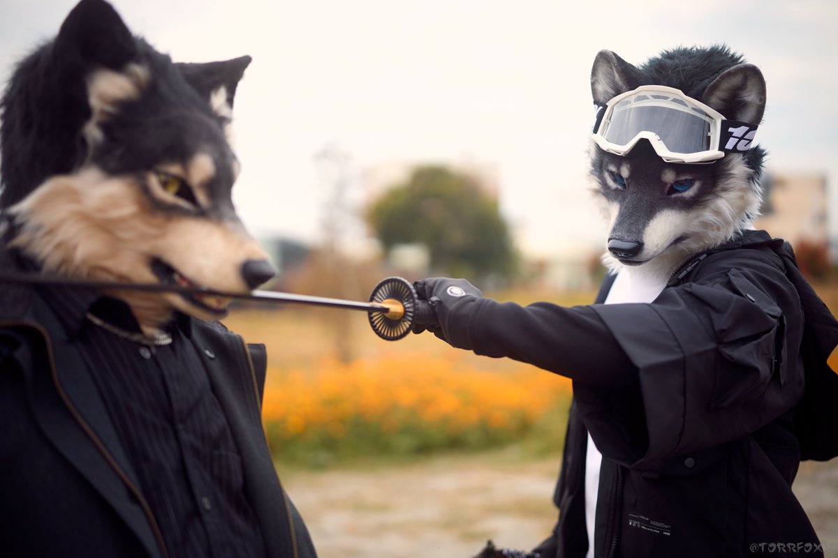 牙と刃🐺🗡️✨
📸 <a href="/TorrFoxx/">圖爾</a> 
#WerewolfWednesday 
#創造トリアノン