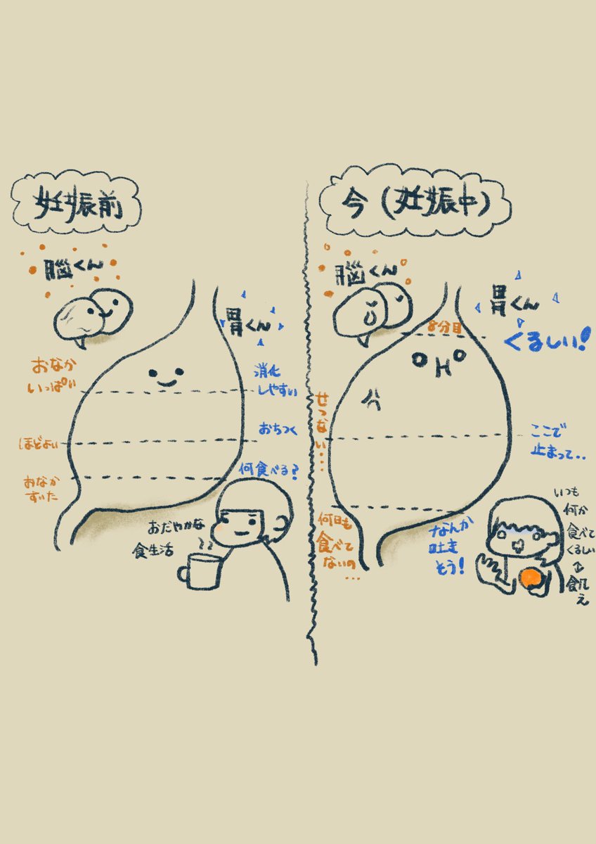 momo0110's tweet image. 妊娠中の食欲に振り回されている