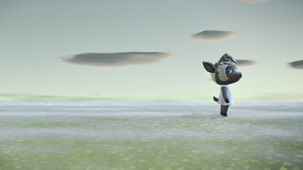 ｍｏｏｏ tweet media