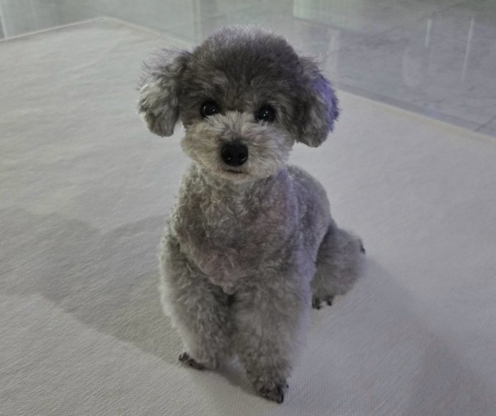 [#แทยอน 💬🫧] 
260121

“อ๋อ ฉันหมายถึงบัญชีของเจโร่ค่ะ”

“เจโร่สบายดีค่ะ”

“เจโร่ตอนนี้ก็ยังเป็นทุกอย่างของฉัน”