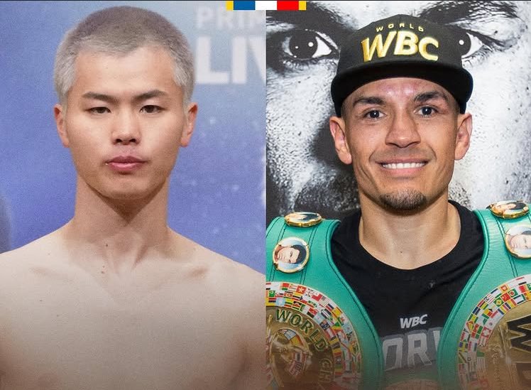 ファイトメモリー | Fight Memory tweet media