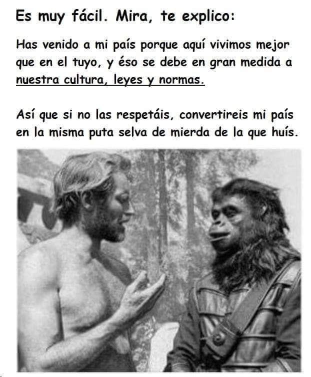 Caduti di Lavapiedi (@ilcaduti) on Twitter photo 