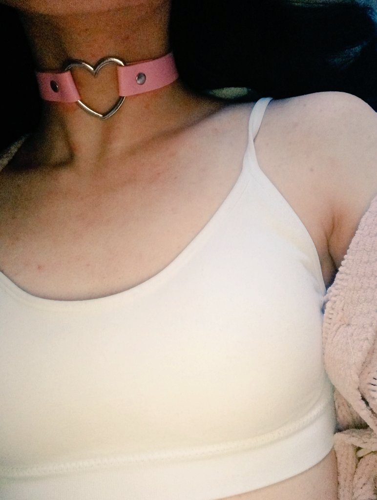 ฅ^•⩊•^ฅ tweet media