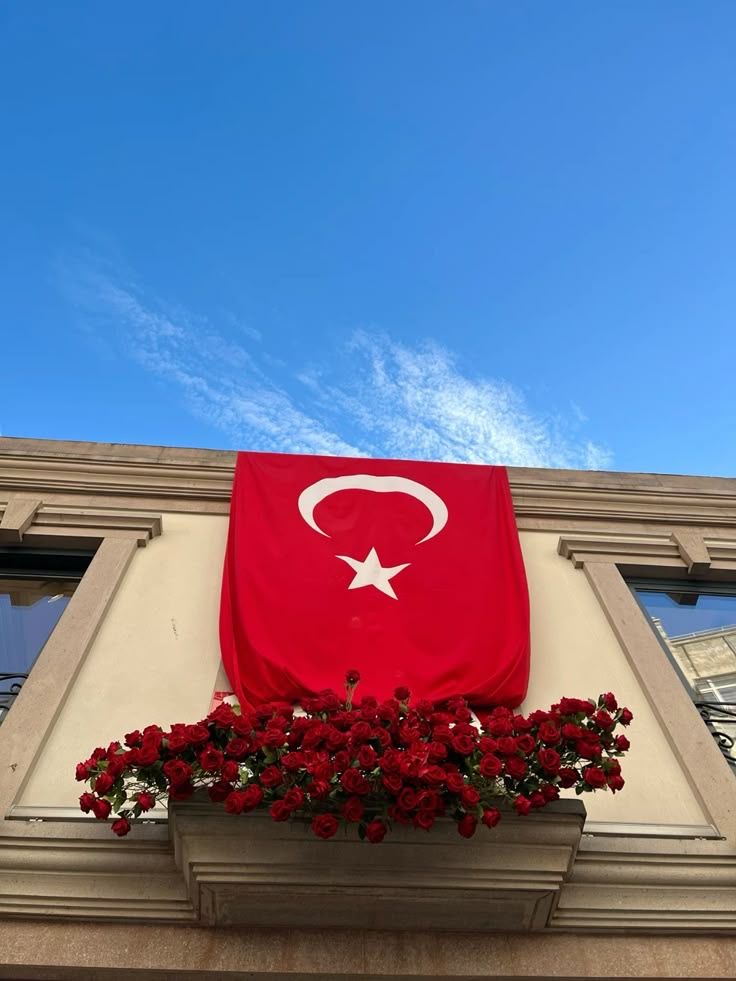Büşra Nur AKAY (@bnc_busra) on Twitter photo 