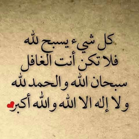 ملك الاحساس (@_a_a_777) on Twitter photo 