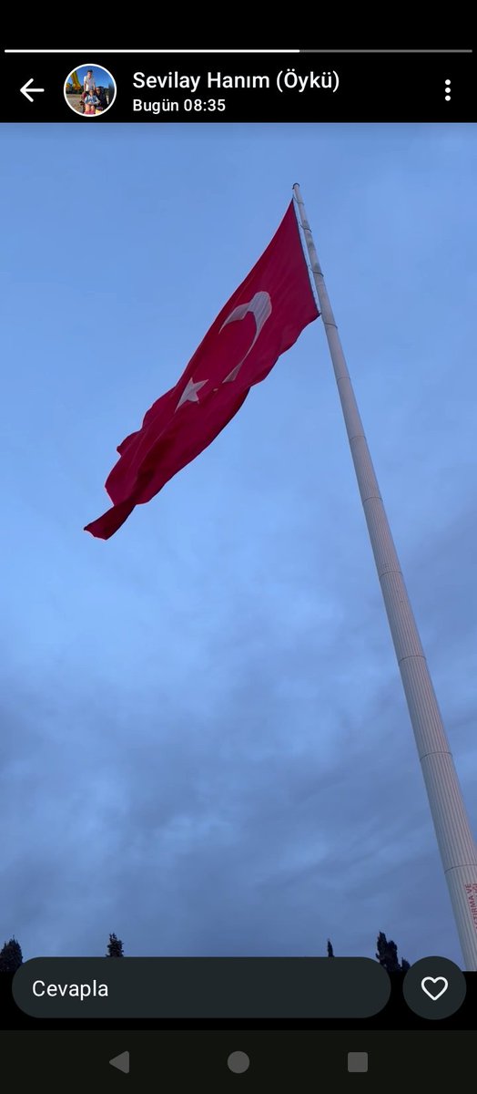 Ulusun(-lar) korkma, hep böyle dalgalanacaksın.