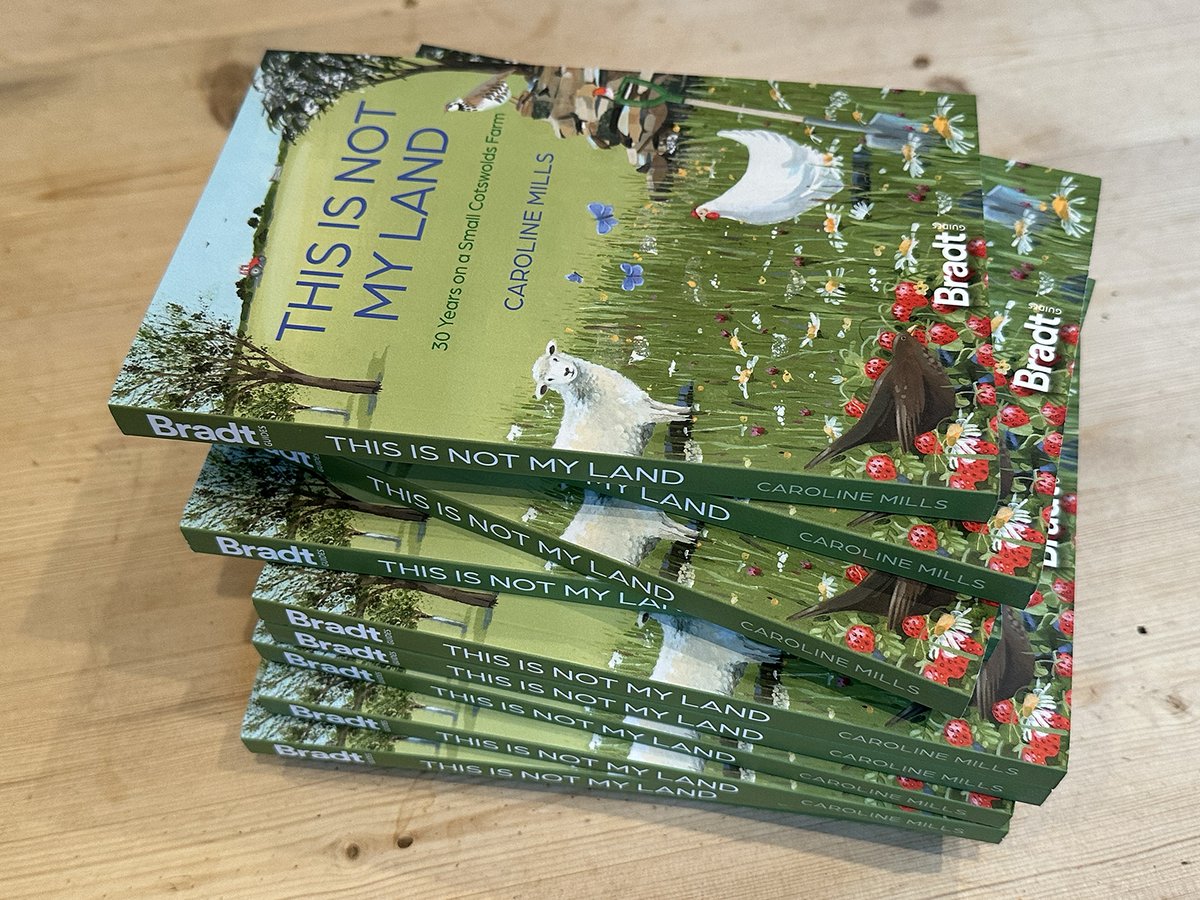 Caroline Mills tweet media