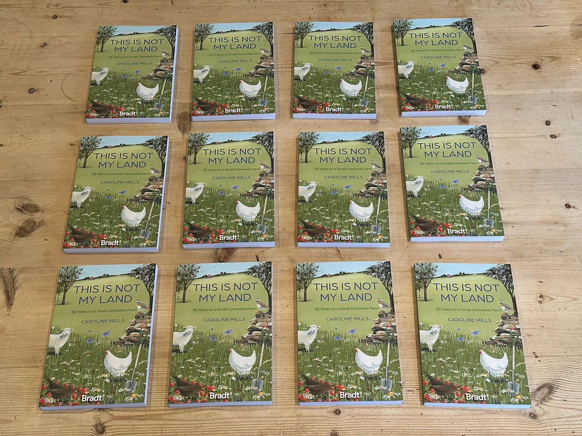 Caroline Mills tweet media