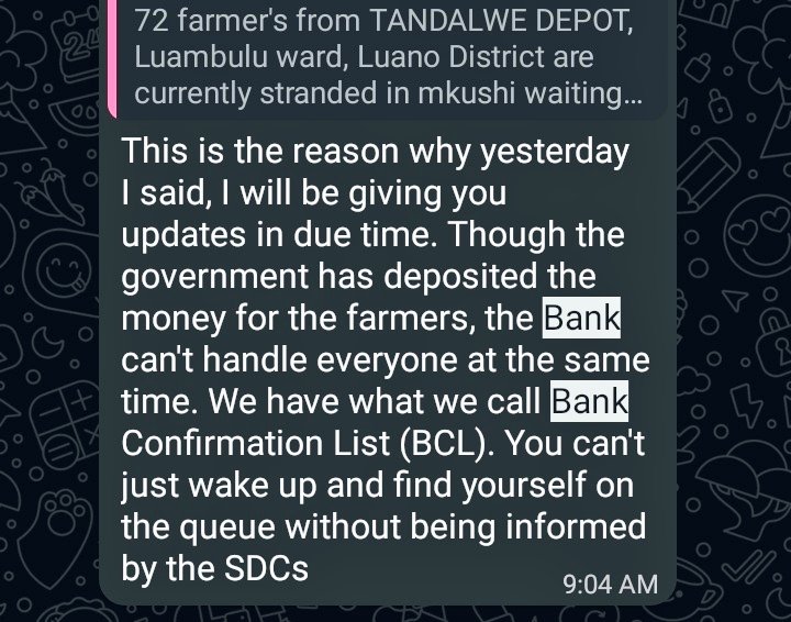 ButlerMuwo's tweet photo. @MHopeMK This is pretty much unnecessary, in Luano(Mkushi South) FRA has made efforts to communicate to farmers whose payment is ready based on numbers &amp; depot when to visit the bank, but they've still decided to camp at banks which is unnecessary. https://t.co/Fshzxe3XUw