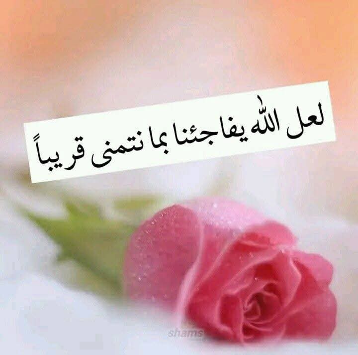 يقول الامام على بن أبى طالب.
لكل شيء زكاة..
وزكاة القلب حزنه...
صباح الخير يا طيبين...💜🤍