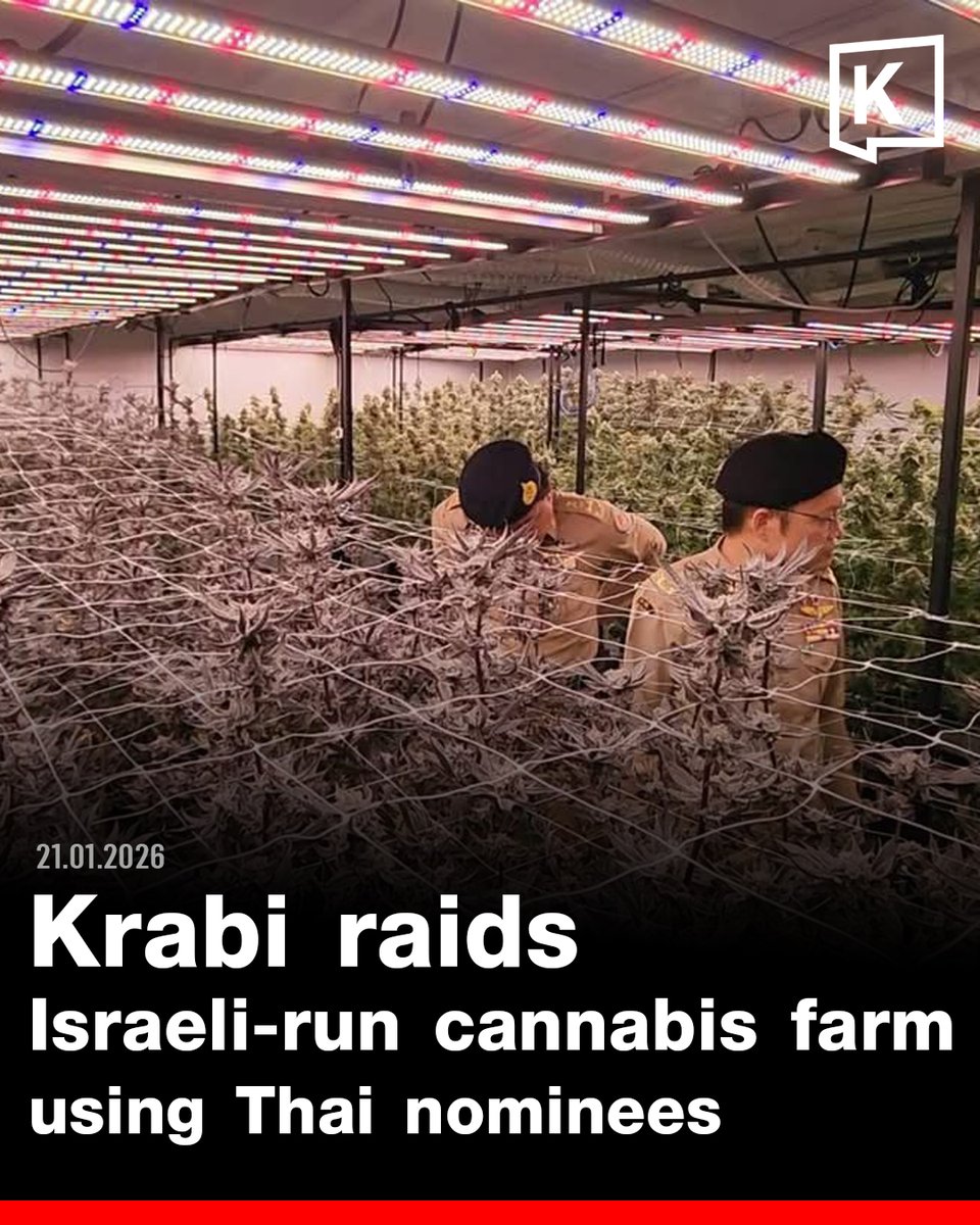 KRABI — The governor of Krabi province and the provincial police chief led a joint operation to search and arrest operators of an Israeli-owned cannabis farm accused of using Thai nationals as nominee shareholders to evade Thai law.

The raid took place on 21 January 2026 at