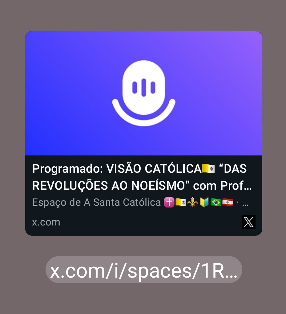 Paulo Silva 🇧🇷🇵🇹 tweet media