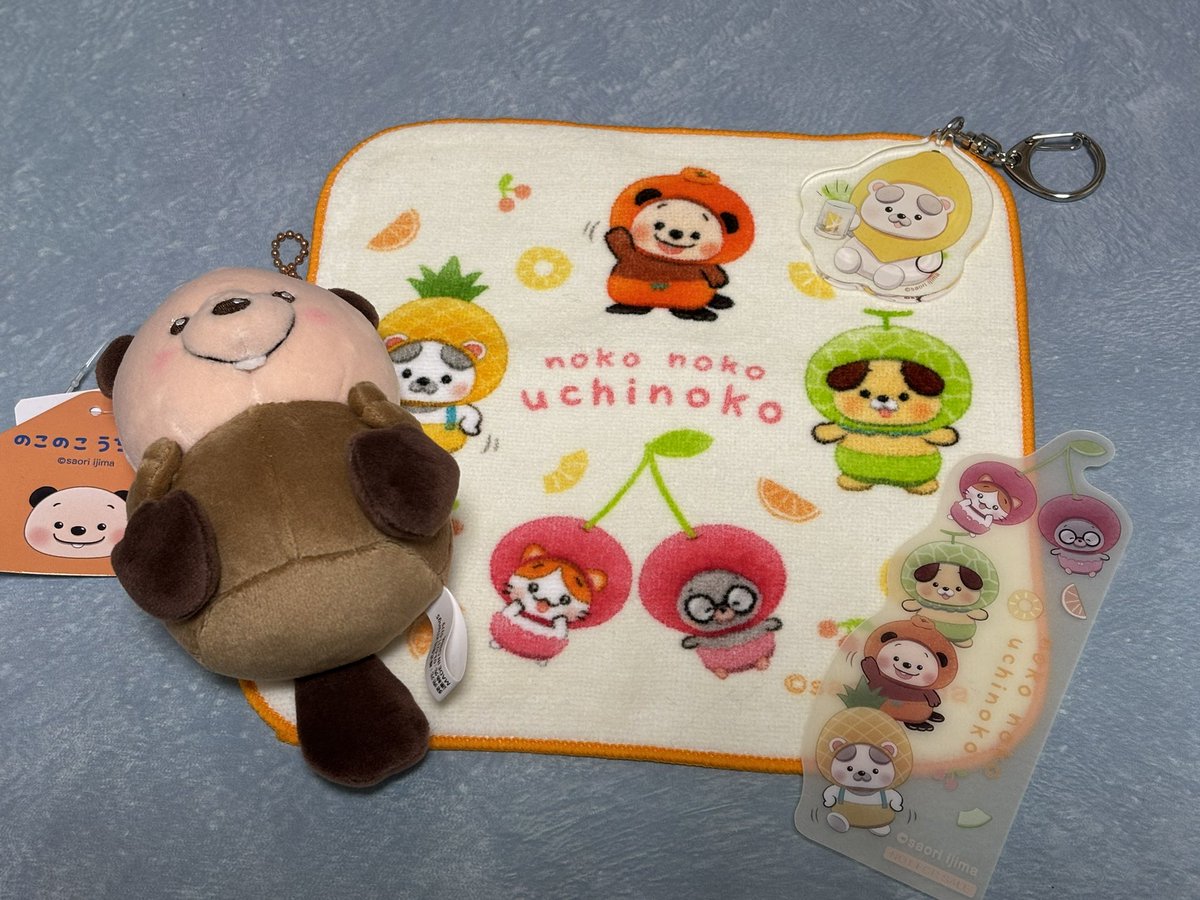 のこのこ うちのコ (@nknk_uchinoko) / Posts / X