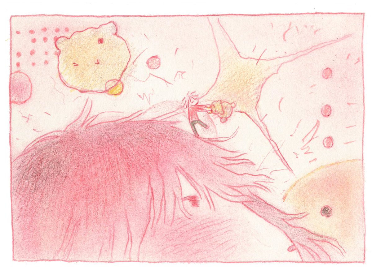 dongDD_012's tweet image. ✨️