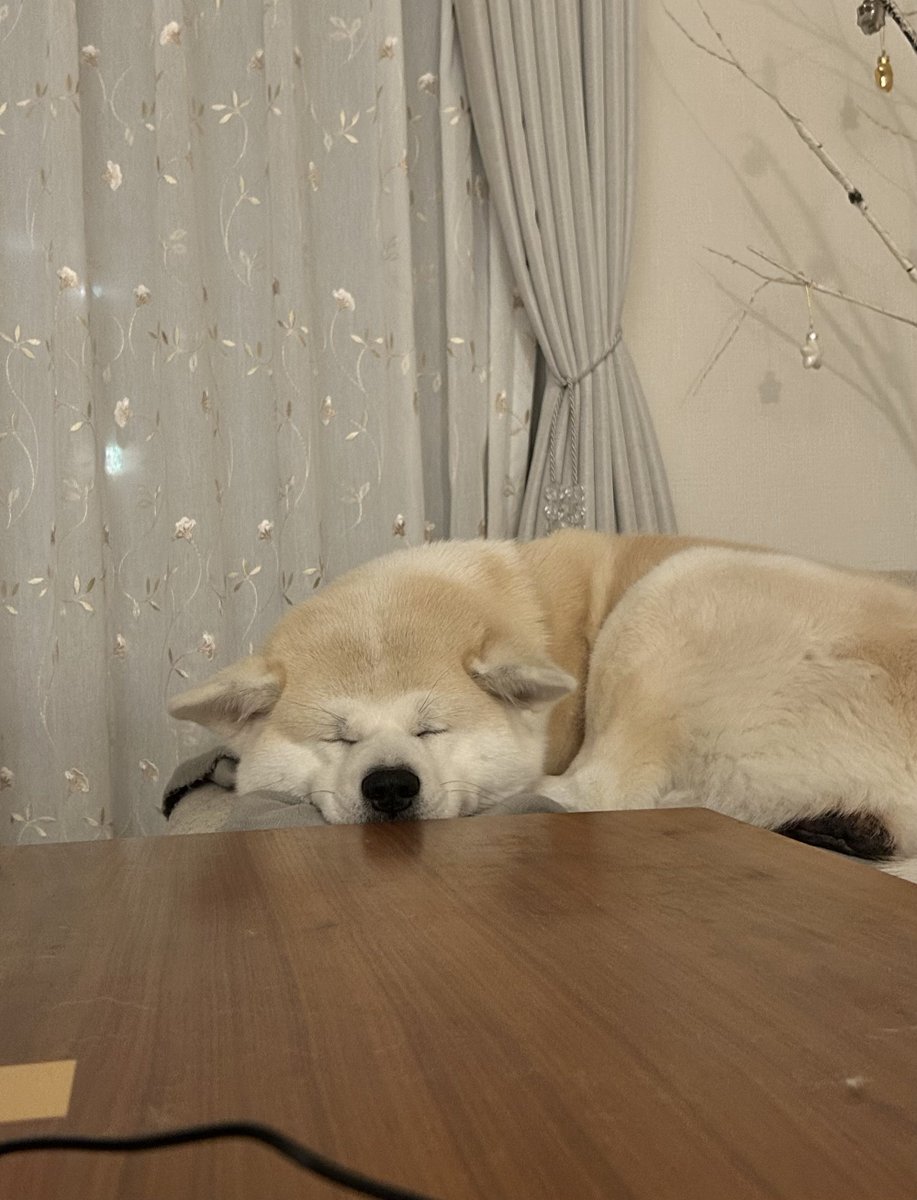 大吉&幸(さち) (@daikichi_0808) / Posts / X