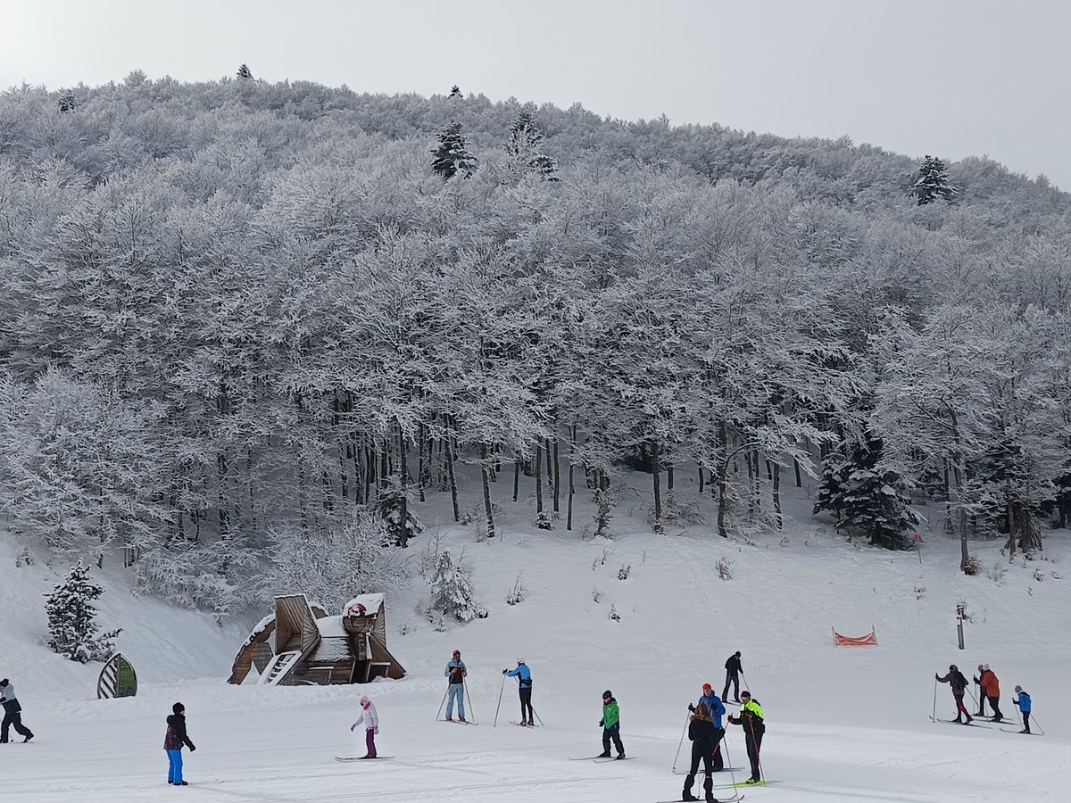 ColegioRomareda's tweet photo. 🥶ᔕ¿ᖴᖇIO?, ᑎOᔕ🥶
𝑵𝒊𝒆𝒗𝒆:

🎿Los alumnos de 3º y 4º de #primaria visitaron #Somport para realizar esquí de fondo.

😉Así no se pasa frio, pero si se pasa una mañana muy divertida.

⛷️❄️⛄️
#esquidefondo #agustinosrecoletoszaragoza  #deporteysalud #deportedeinvierno https://t.co/TQnfsRmLXi