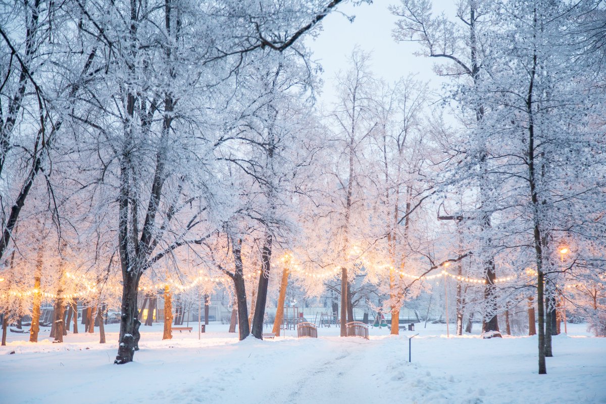 Trešdien vietām Latvijā uzspīdēs saule un vietām mazliet snigs, prognozē sinoptiķi.

Migla izklīdīs, sarma pamazām nobirs

Foto: <a href="/edijsfotolv/">Edijs Pālens</a> / LETA