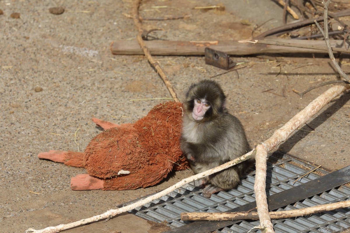 K e e 🌹🌹 (@kee_51244s) / Posts / X