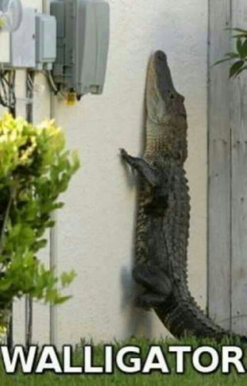 Я учу английский ради этого