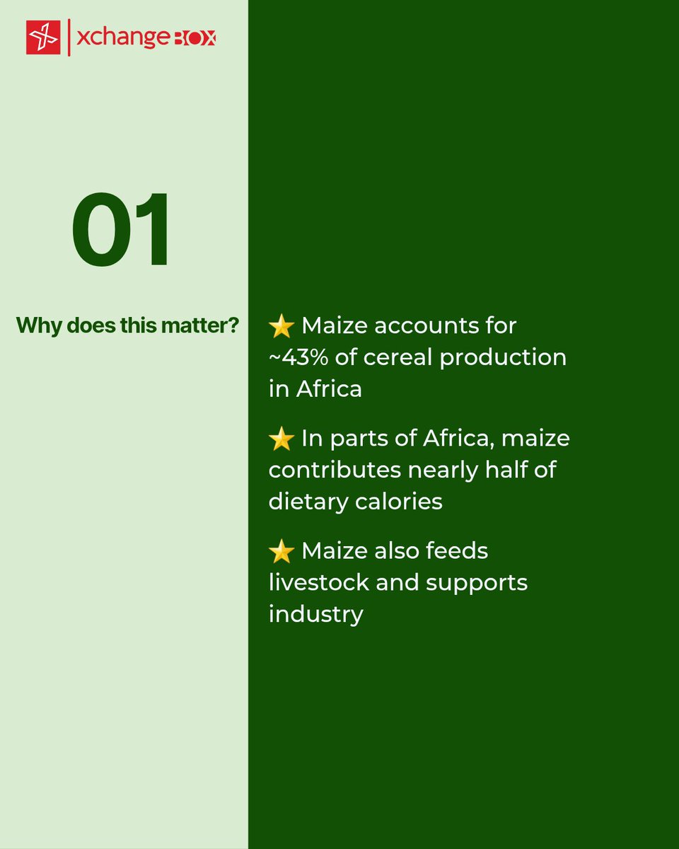 Abiola Jimoh tweet media