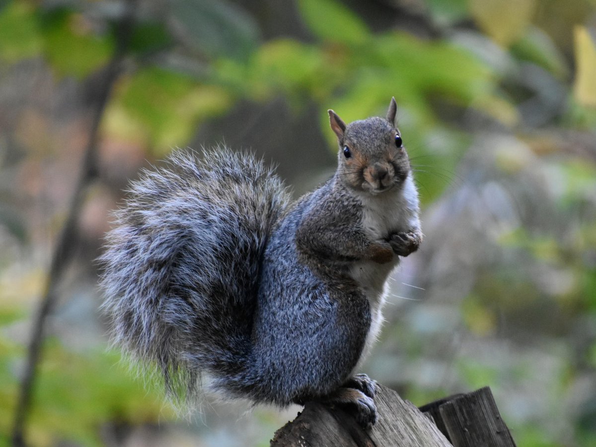 BonnieDool5t's tweet image. #DailyPictureTheme   #friendly