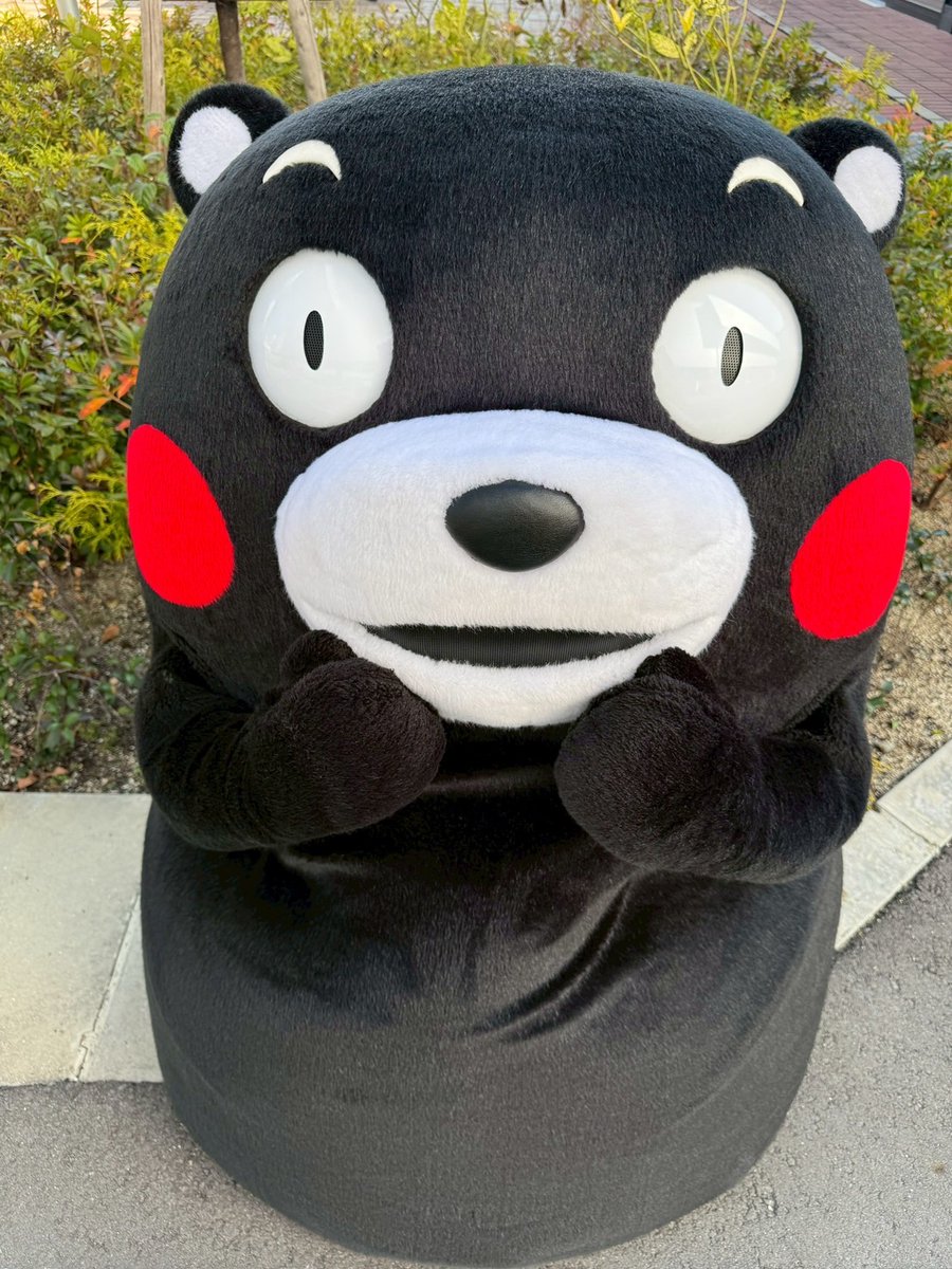くまモン【公式】 (@55_kumamon) / Posts / X
