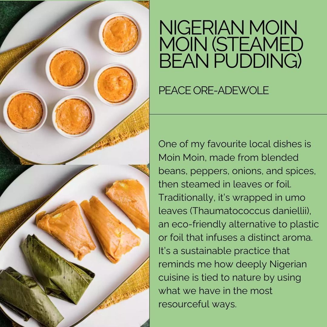 Net Zero Tracker tweet media