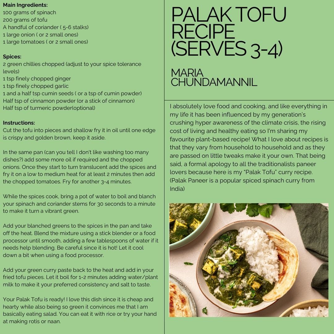 Net Zero Tracker tweet media