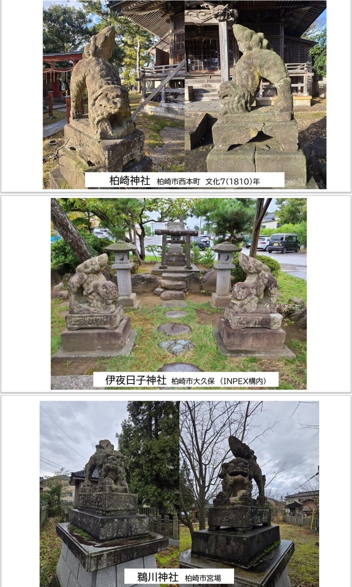 reonocc's tweet image. 毎週水曜日 #柏崎日報 #呑んべぃ親父の独り言。1月21日は「出雲の狛犬」。柏崎市の海岸沿いの神社で見かける「尻上がりの狛犬」。探してみると、内陸部にも数あることを知る。分布図を作成し、眺めていると、なんだかワクワクしてくるのだねぇ。是非ご一読下さい。