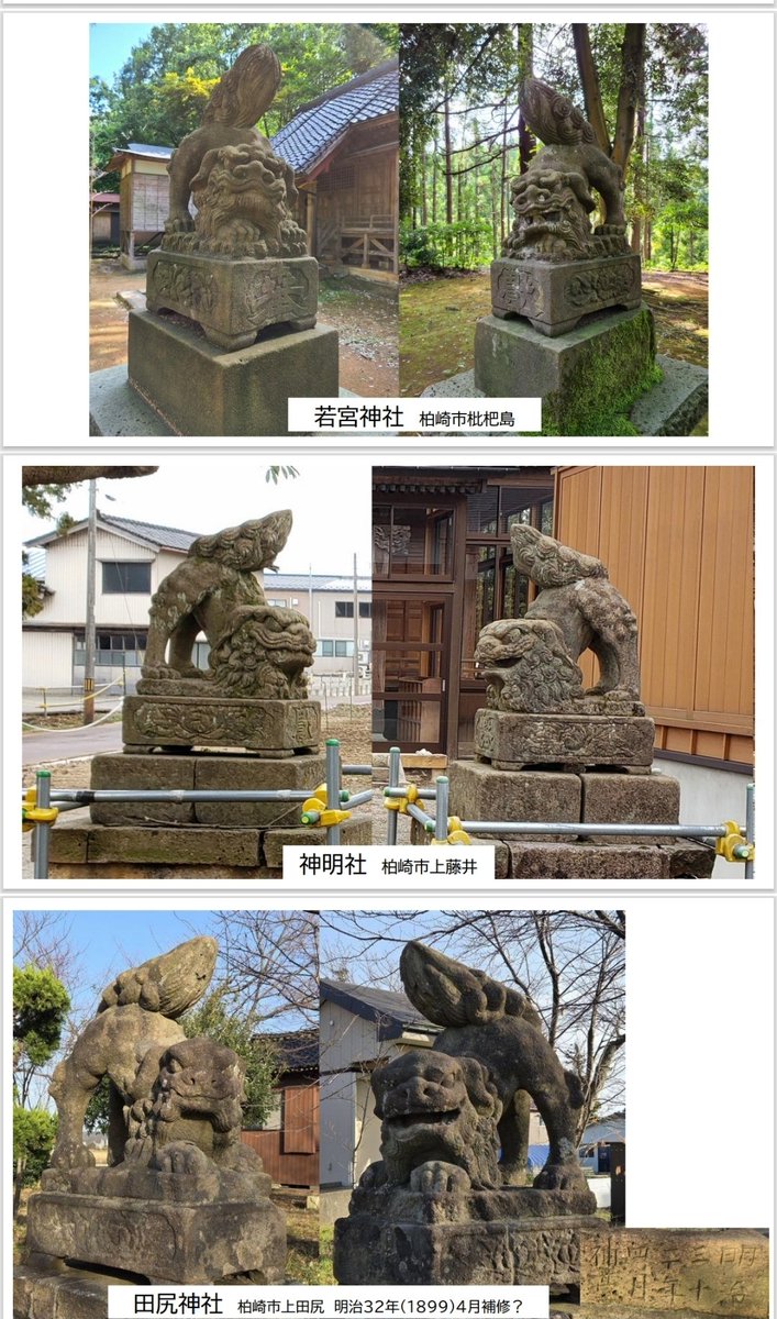 reonocc's tweet image. 毎週水曜日 #柏崎日報 #呑んべぃ親父の独り言。1月21日は「出雲の狛犬」。柏崎市の海岸沿いの神社で見かける「尻上がりの狛犬」。探してみると、内陸部にも数あることを知る。分布図を作成し、眺めていると、なんだかワクワクしてくるのだねぇ。是非ご一読下さい。