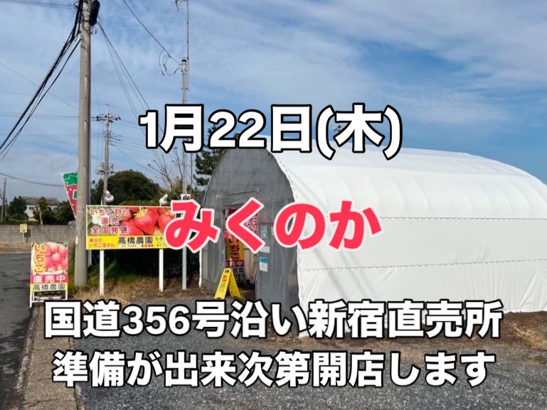 花農家直送！！こちらはご予約専用ページです❀ ⚠︎1月〜値上げです⚠︎ 1月22日(木) 国道356号沿い新宿直売所 準備が出来次第開店致します