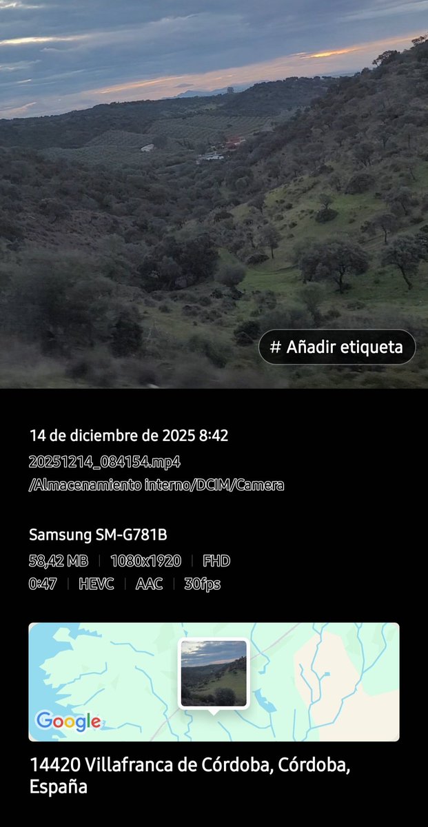 Montse Agulló tweet media