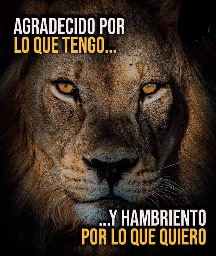 •"Mantente hambriento, mantente loco" (Stay hungry, stay foolish) - Steve Jobs.