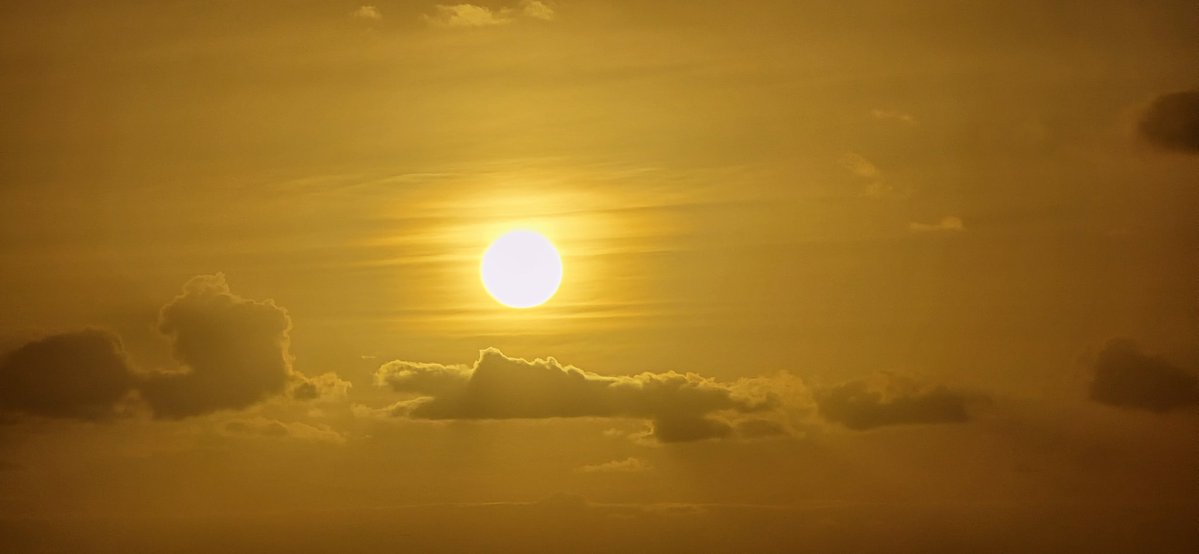 JOHN McMILLAN tweet media