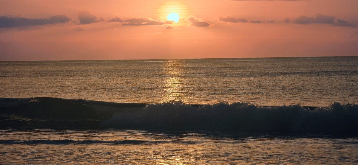 JOHN McMILLAN tweet media