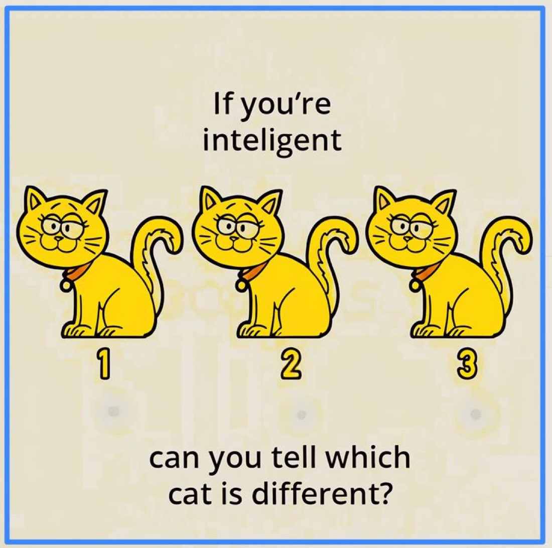 ElonmuskWIZ's tweet image. Only 1% can find the different cat...