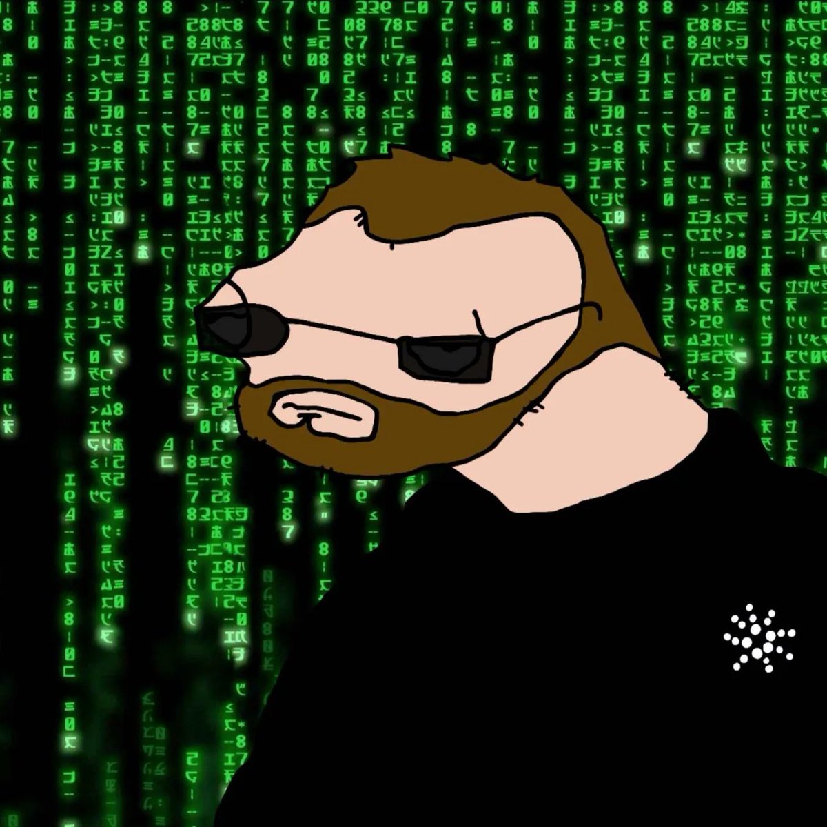 Sharl (@sharlhuskens) / Posts / X