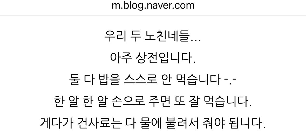 행복이가며칠전부터무슨바람이들엇는지사료를한알한알떠먹여주는거아니면먹질않아서 (심지어중간에뱉거나자꾸딴데로도망감미친노인네) 인터넷에찾아보니까너무공감글