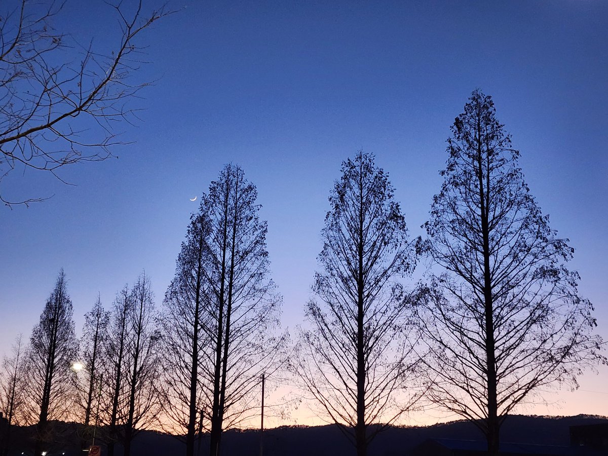 #햄블냥블
#퇴근길
너무 추운데.. 🥲