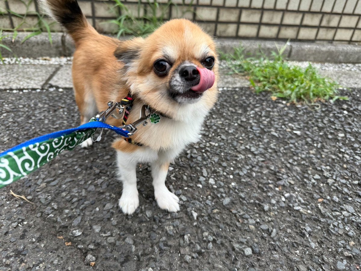 ohsumichikako's tweet photo. 疲れを癒してくれる1枚

ふぅー https://t.co/2u8cec8jLH