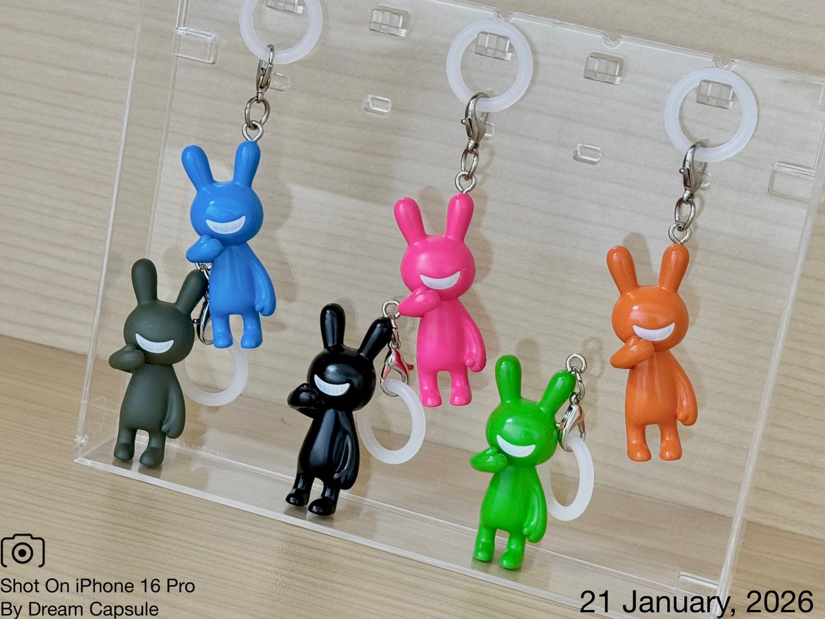 🌟新入荷ガチャ商品プレゼントCP🌟 不適な笑みが可愛い😎 「ブラック