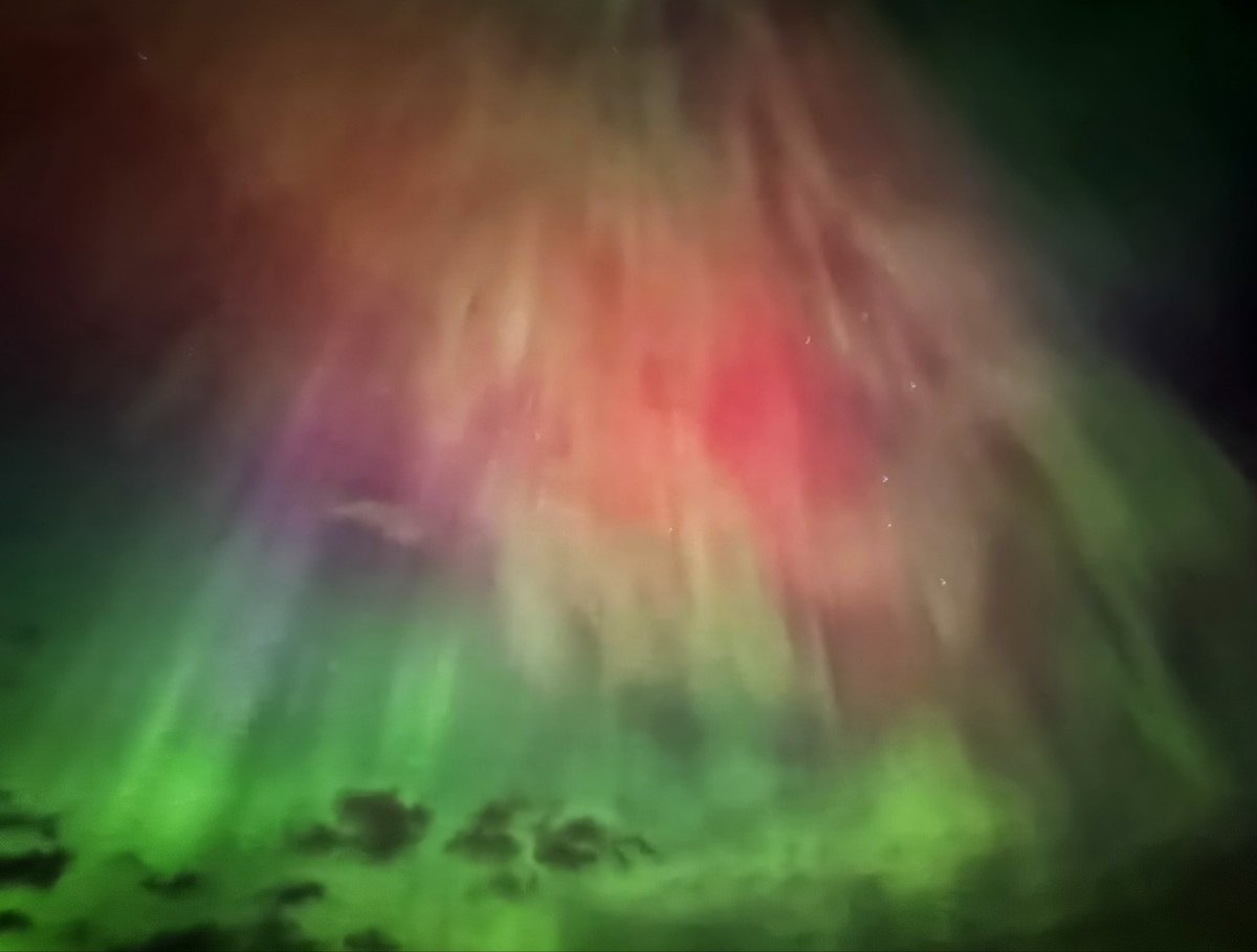 graham ross tweet media