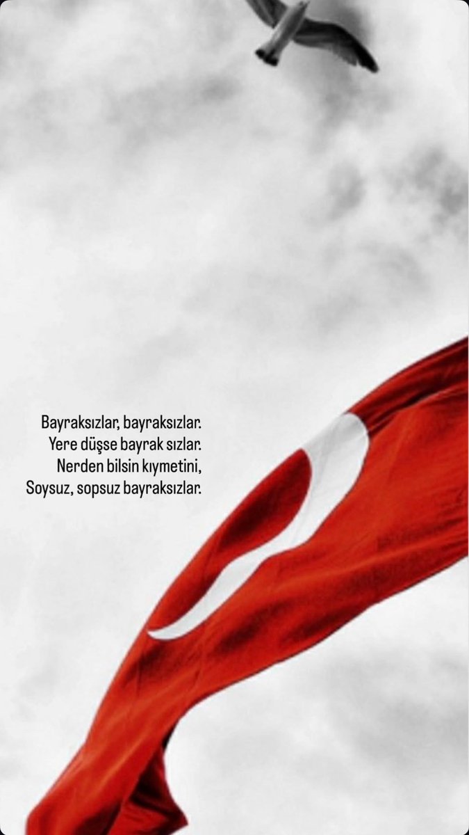 B… 𐱅𐰇𐰼𐰛 🇹🇷 tweet media