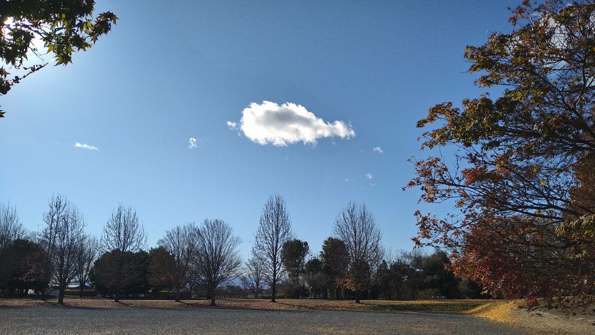 本日の業務終了🫡
今日と明日は在宅勤務して来期に向けての資料作成😌
ここ数日は激寒・暴風雪が続きますので、皆様も無理なく活動して下さい。北関東は乾いた風が吹いて、空気が冷え切っています🥶
#寒波到来 #在宅勤務 #激寒