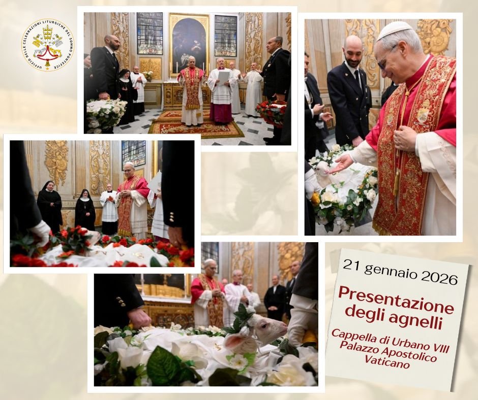 Celebrazioni Papali tweet media