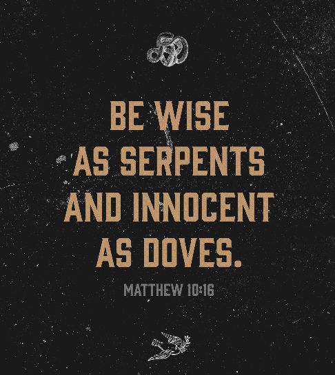 Ryan’s All-Star Motors tweet media